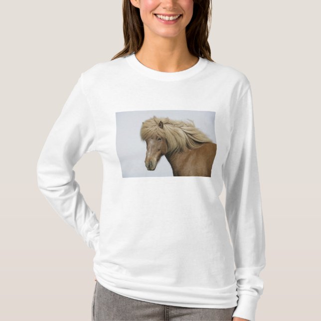 Camiseta Islandia. Retrato de un caballo islandés. (Anverso)