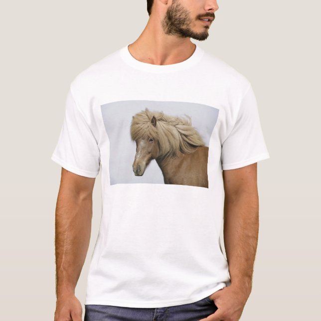 Camiseta Islandia. Retrato de un caballo islandés. (Anverso)