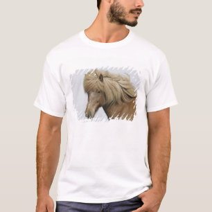 Camiseta Islandia. Retrato de un caballo islandés.