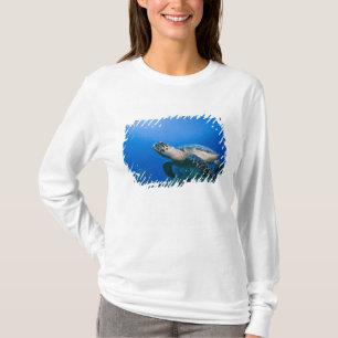 Camiseta Islas Caimán, Little Cayman Island, Bajo el agua 2