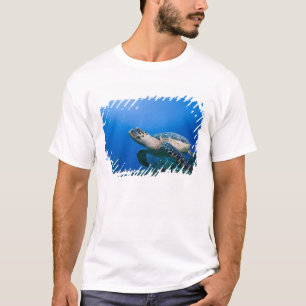 Camiseta Islas Caimán, Little Cayman Island, Bajo el agua 2