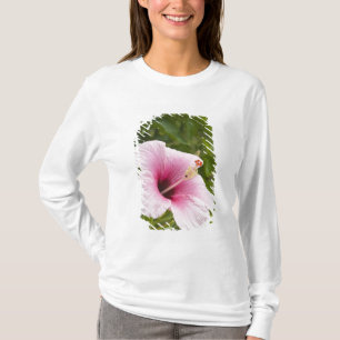 Camiseta Islas Cook, Atiu. Flor de hibisco.