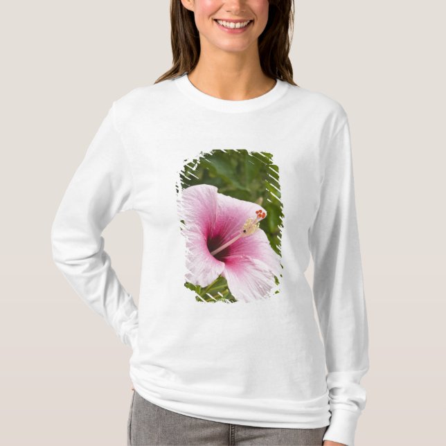 Camiseta Islas Cook, Atiu. Flor de hibisco. (Anverso)