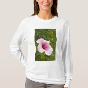 Camiseta Islas Cook, Atiu. Flor de hibisco.