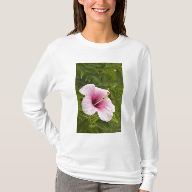 Camiseta Islas Cook, Atiu. Flor de hibisco. (Anverso)