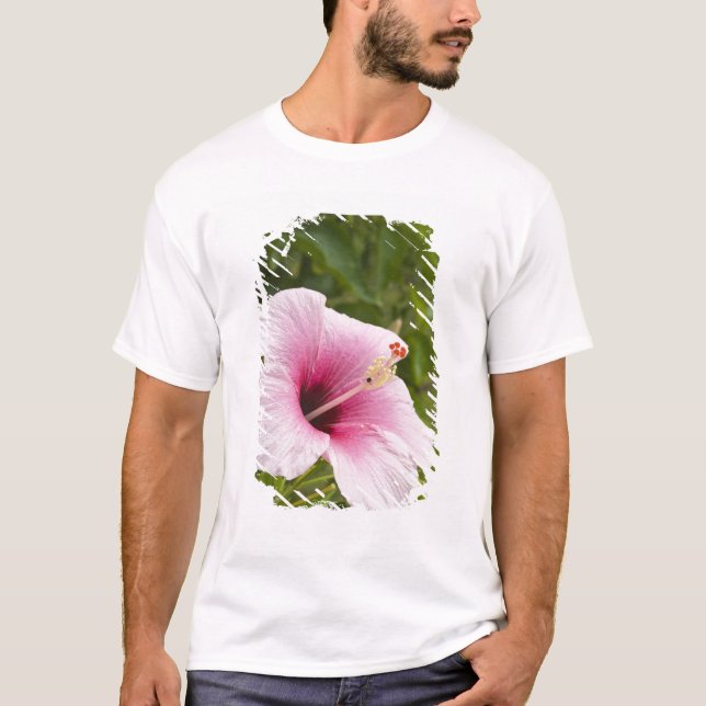 Camiseta Islas Cook, Atiu. Flor de hibisco. (Anverso)