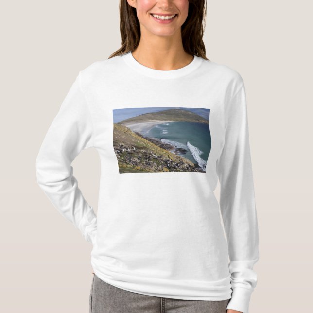 Camiseta Islas Malvinas, West Falkland, Saunders (Anverso)