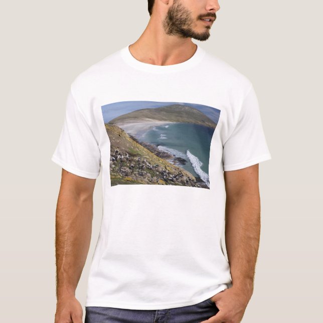 Camiseta Islas Malvinas, West Falkland, Saunders (Anverso)
