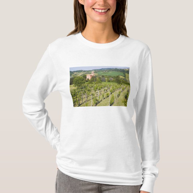 Camiseta Italia, Bolonia, visión a través del viñedo a (Anverso)