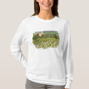 Camiseta Italia, Bolonia, visión a través del viñedo a