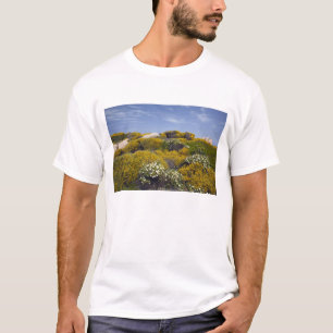 Camiseta Italia, Cerdeña, Santa Teresa Gallura. Capo 3