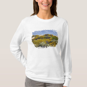 Camiseta Italia, Cerdeña, Santa Teresa Gallura. Capo 3