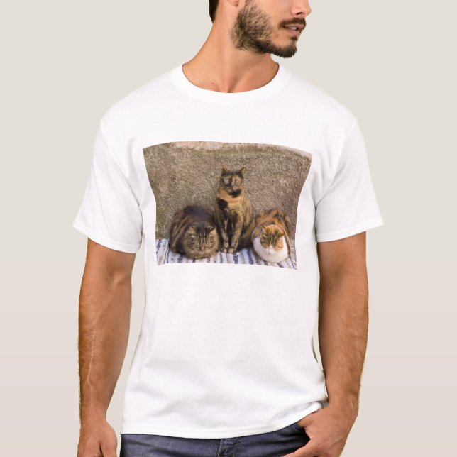 Camiseta Italia, Cinque Terre, Vernazza. Tres gatos (Anverso)