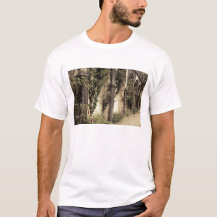 Camiseta Italia, provincia de Brescia, Gardone Riviera. Jar