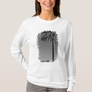 Camiseta Italia, Sicilia, Agrigento, La Valle dei Templi, 3