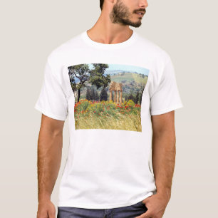 Camiseta Italia, Sicilia, Agrigento. Las ruinas de la