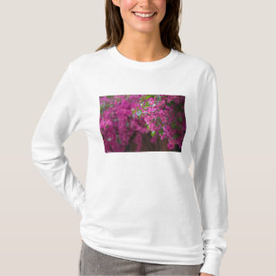 Camiseta Italia, Sicilia, Cefalù, Patio Florido por