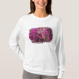 Camiseta Italia, Sicilia, Cefalù, Patio Florido por