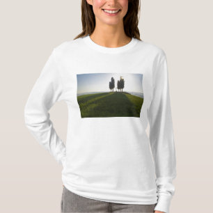 Camiseta Italia, Toscana, Cipreses en Toscana con