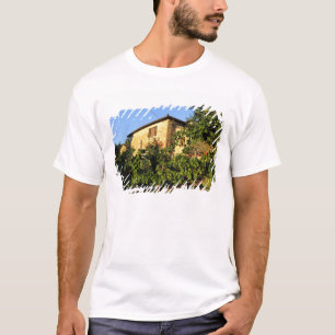 Camiseta Italia, Toscana, Greve. Escenas vinícolas a finale