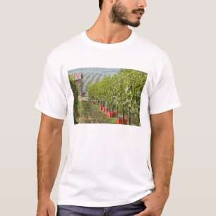 Camiseta Italia, Toscana, Montalcino. Contenedores de cosec