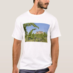 Camiseta Italia, Toscana, Montepulciano. Uvas listas