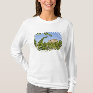 Camiseta Italia, Toscana, Montepulciano. Uvas listas
