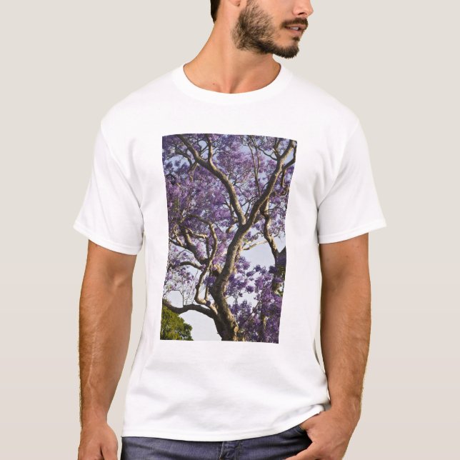 Camiseta Jacaranda Trees florecientes en New Farm Park, (Anverso)