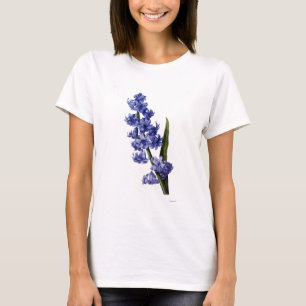 Camiseta Jacinto