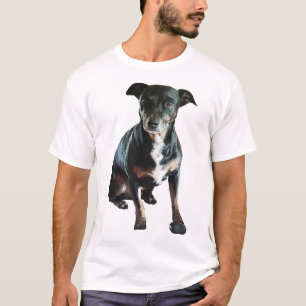 Camiseta Jack, el perro más grande del mundo