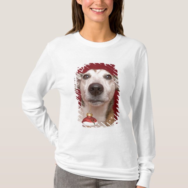 Camiseta Jack Russell Terrier que sostiene el ornamento del (Anverso)