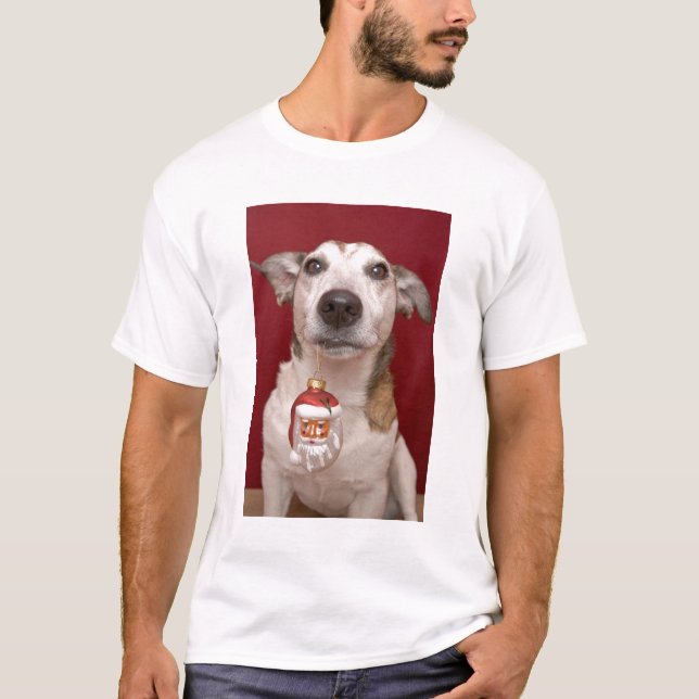 Camiseta Jack Russell Terrier que sostiene el ornamento del (Anverso)