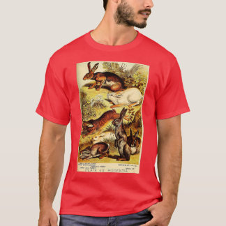 Camiseta Jackrabbit - Cuero - Conejo Salvaje - Litografía d