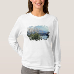 Camiseta Japón, Honshu, Pref. de Yamanashi, Fuji-Hakone-Izu