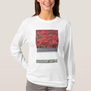 Camiseta Japón, Kioto, color de otoño en el templo Eikand