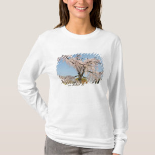 Camiseta Japón, Kyoto. Cerezo llorón bajo cielo azul