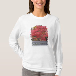 Camiseta Japón, Kyoto, color de otoño en el templo Eikando