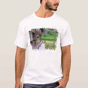 Camiseta Japón, Kyoto. Jardín de piedra en silencio