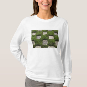 Camiseta Japón, Kyoto, Templo Tofukuji, Jardín