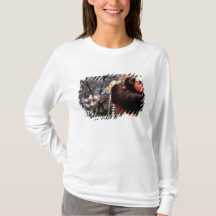 Camiseta Japón, Kyoto. Vista trasera primer plano de la gei