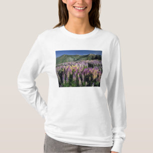 Camiseta JARBIDGE WILDERNESS, NEVADA. EE. UU. Lupino de esp