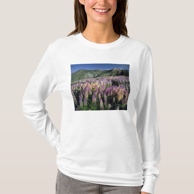 Camiseta JARBIDGE WILDERNESS, NEVADA. EE. UU. Lupino de esp (Anverso)