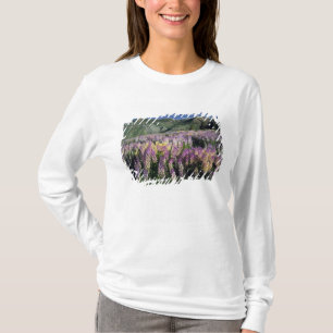 Camiseta JARBIDGE WILDERNESS, NEVADA. EE. UU. Lupino espuel