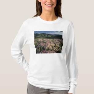 Camiseta Jarbridge Wilderness y montañas, Nevada, espolón