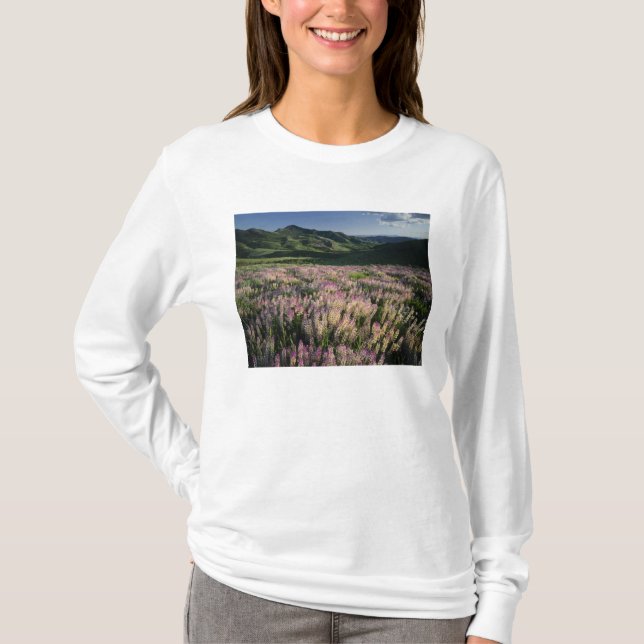 Camiseta Jarbridge Wilderness y montañas, Nevada, espolón (Anverso)