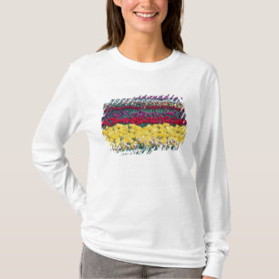 Camiseta jardín de exhibición de tulipanes en el condado de