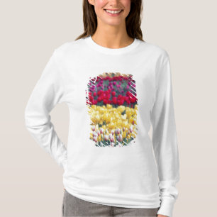 Camiseta jardín de exhibición de tulipanes en el valle de S