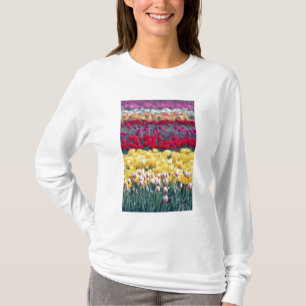 Camiseta jardín de exhibición de tulipanes en el valle de S