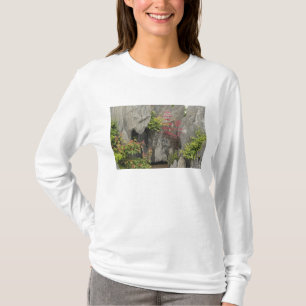 Camiseta Jardín de la familia Bao, Huangshan, China.