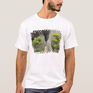 Camiseta Jardín de la familia Bao, Huangshan, China. 2